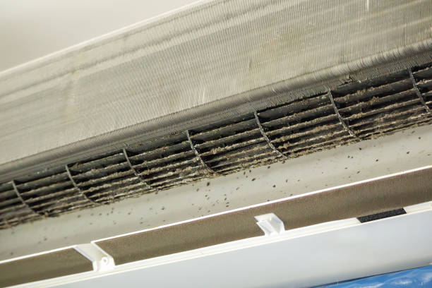 Best Air Duct Cleaning Near Me  in William Paterson University Of New Jersey, NJ
